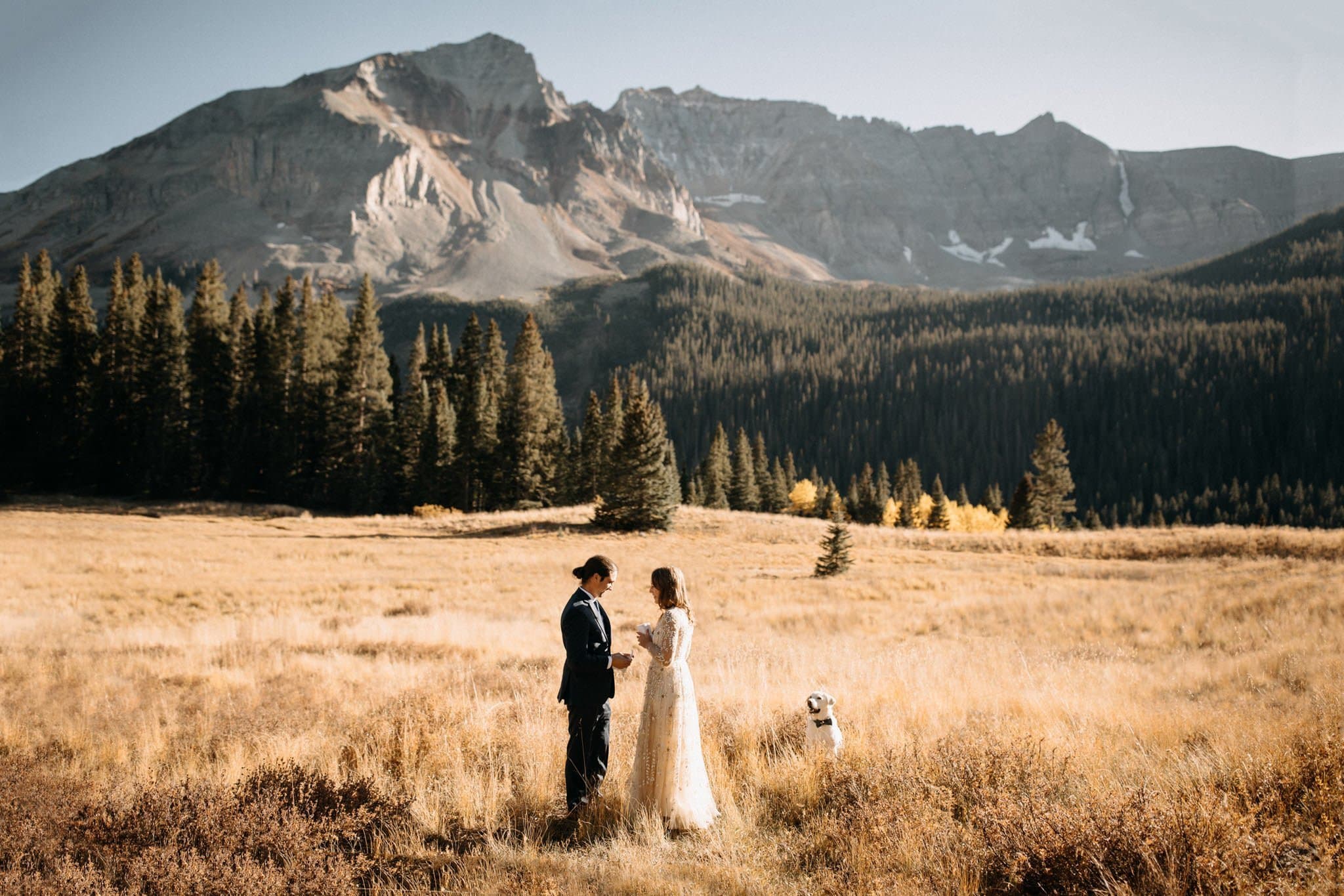 Sweet Mountain Elopement with their Furbaby in Telluride