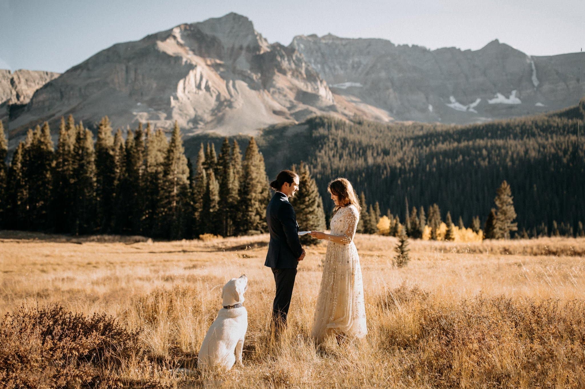 Sweet Mountain Elopement with their Furbaby in Telluride