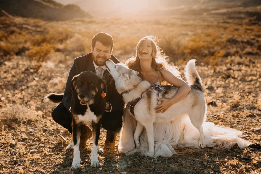 Elopement Planning Guide