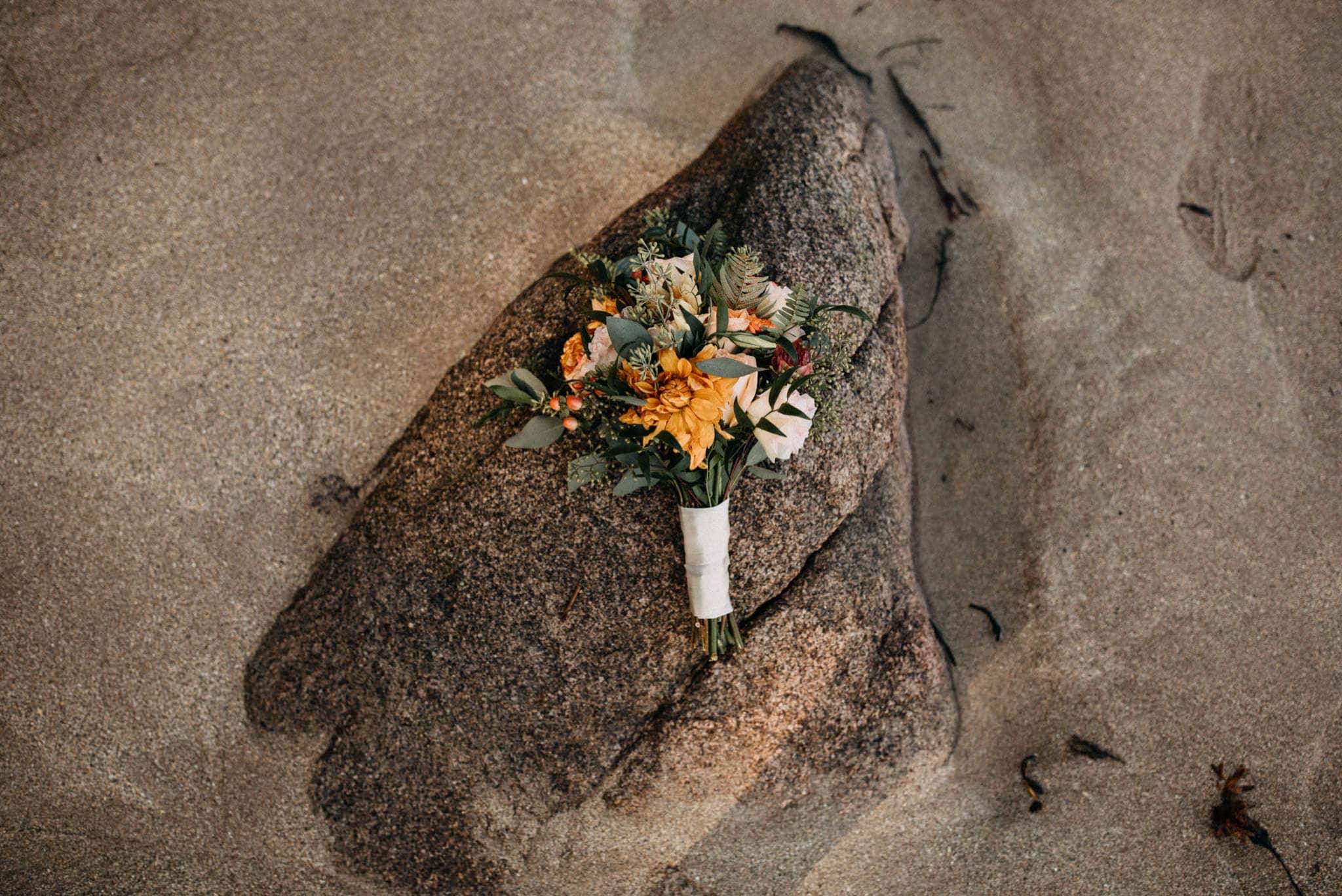Adventurous Elopement in Acadia National Park