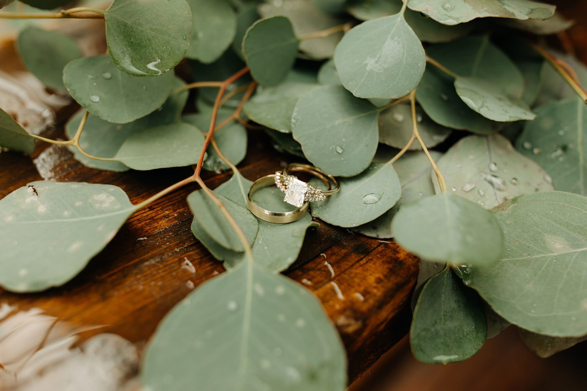 Wedding Details at Alta Lakes Observatory