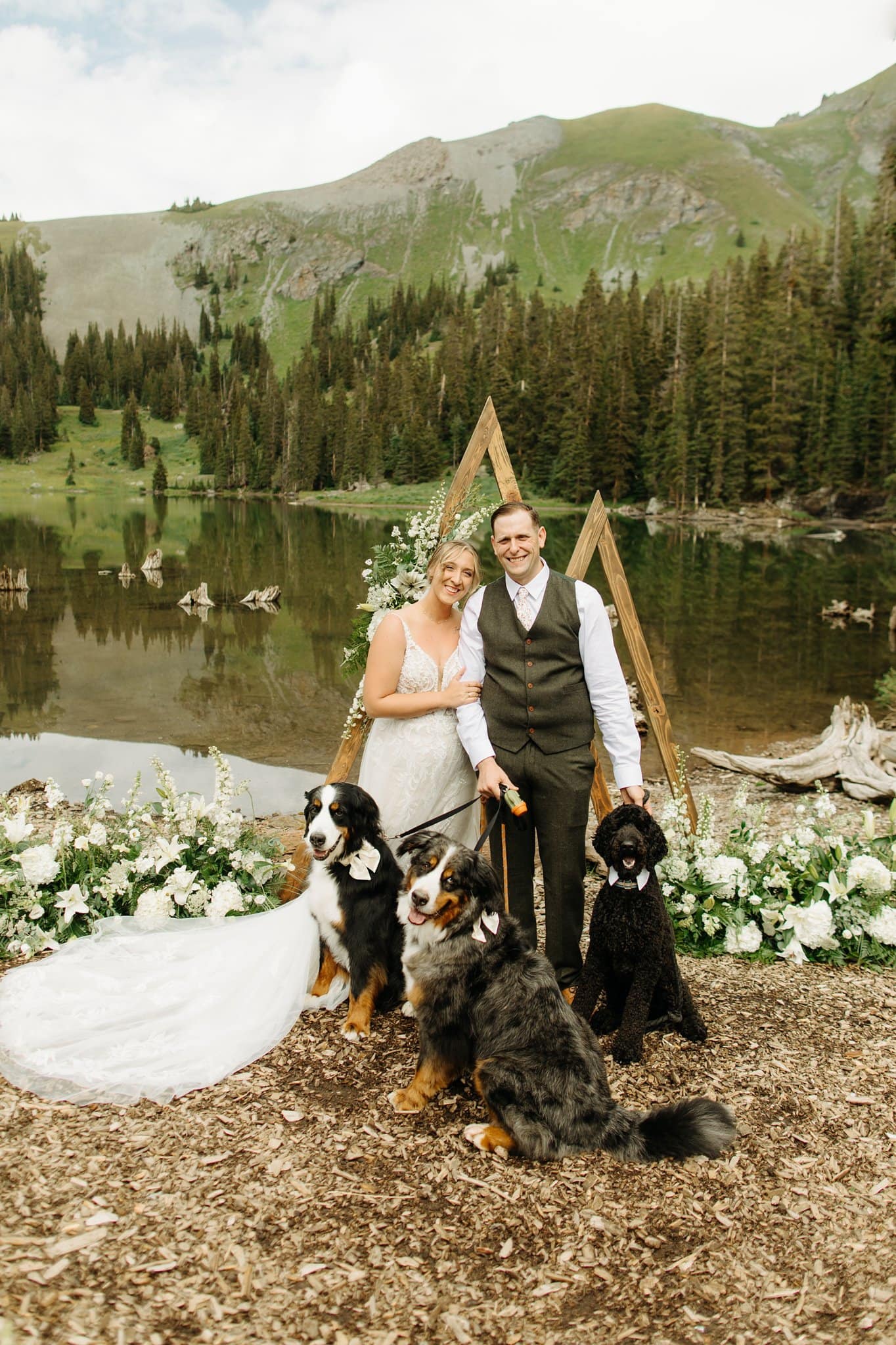 Intimate Wedding with dogs at Alta Lakes Observatory
