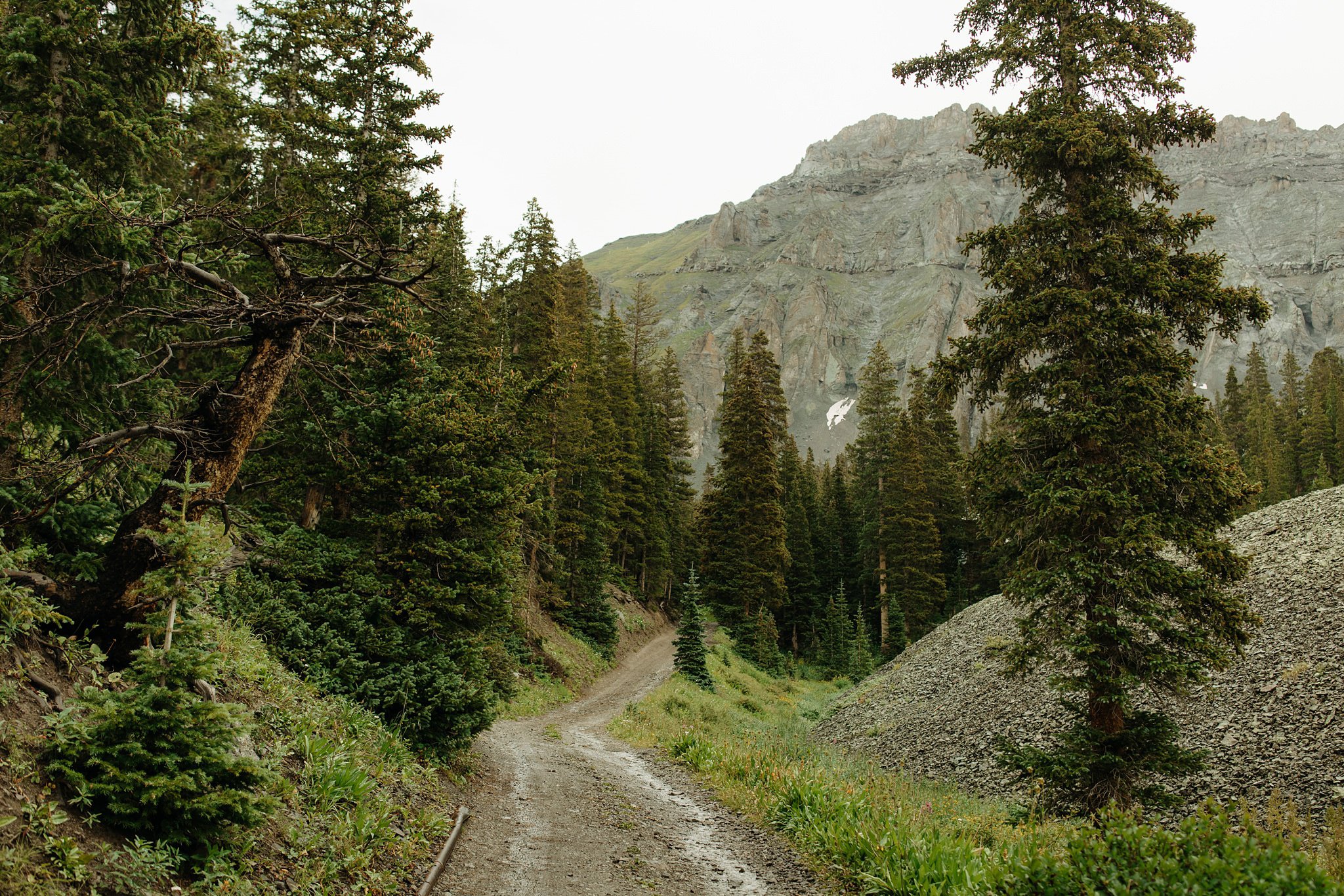 road to alta lakes observatory