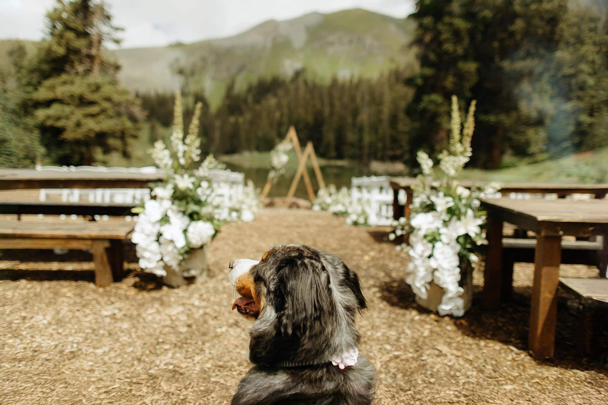 Wedding Details at Alta Lakes Observatory