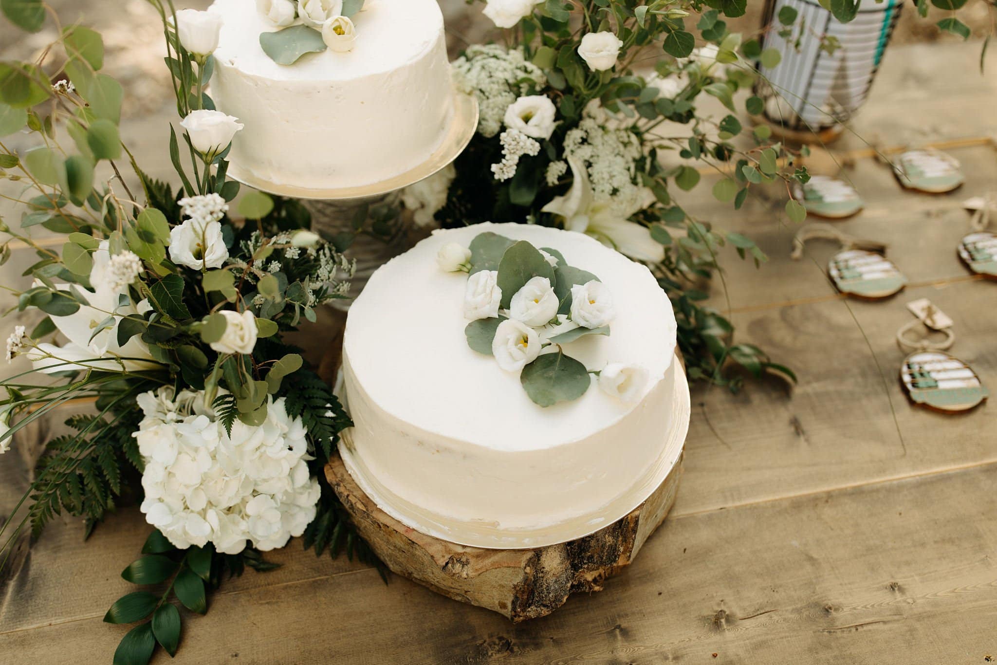 Wedding Details at Alta Lakes Observatory