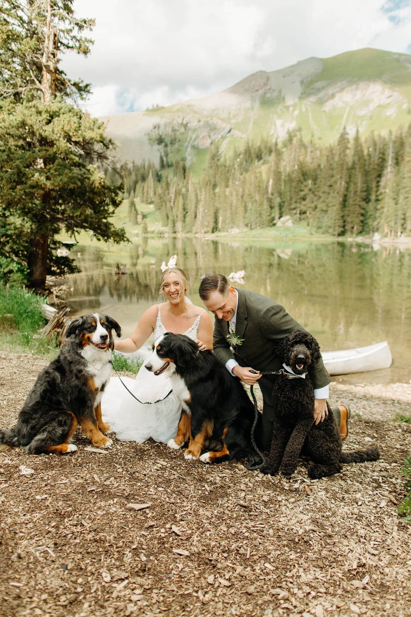 Intimate Wedding with dogs at Alta Lakes Observatory