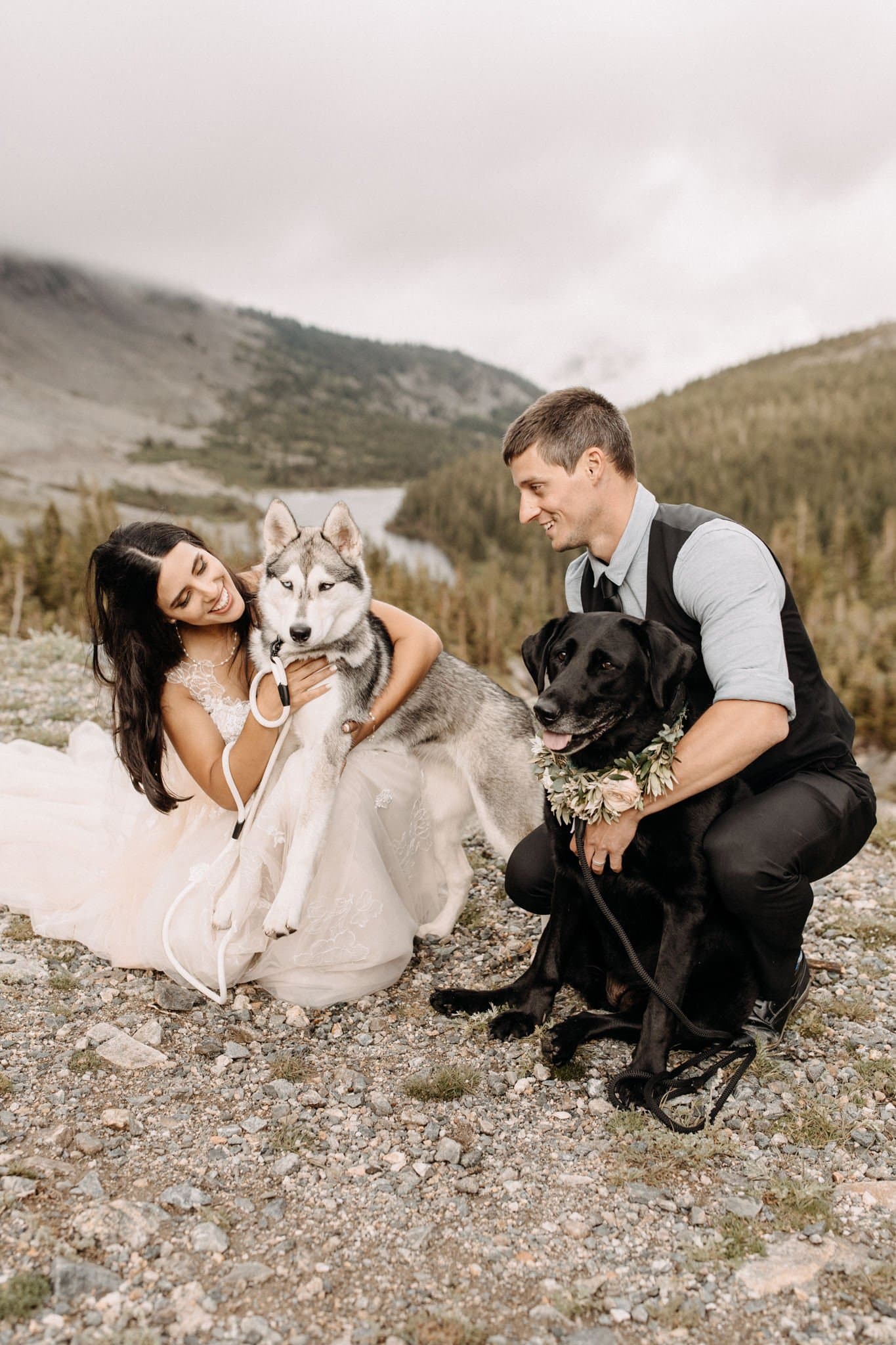 Wedding portraits at blue lakes with dogs in Breckenridge