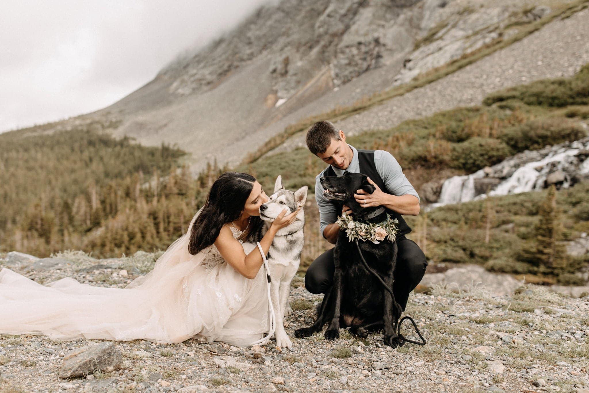 Wedding portraits at blue lakes with dogs in Breckenridge