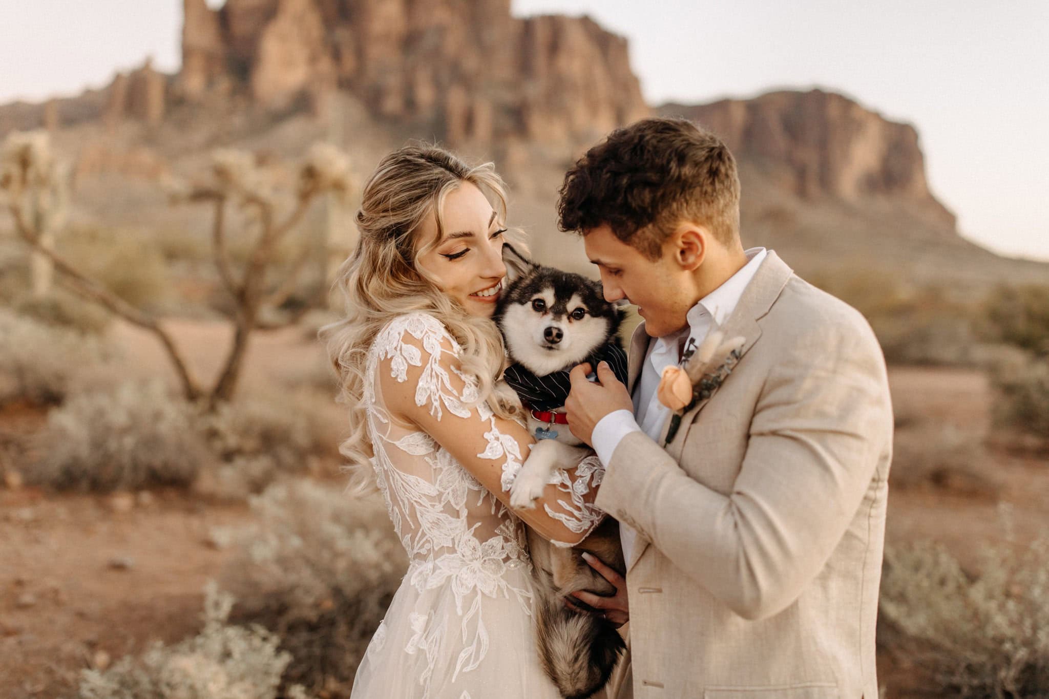 Romantic Elopement at Lost Dutchman State Park