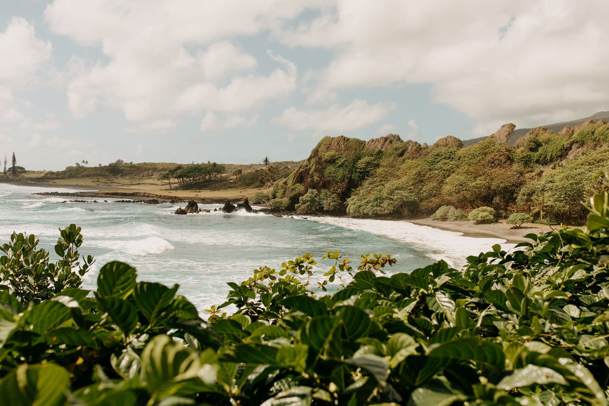 Tropical Elopement in Maui