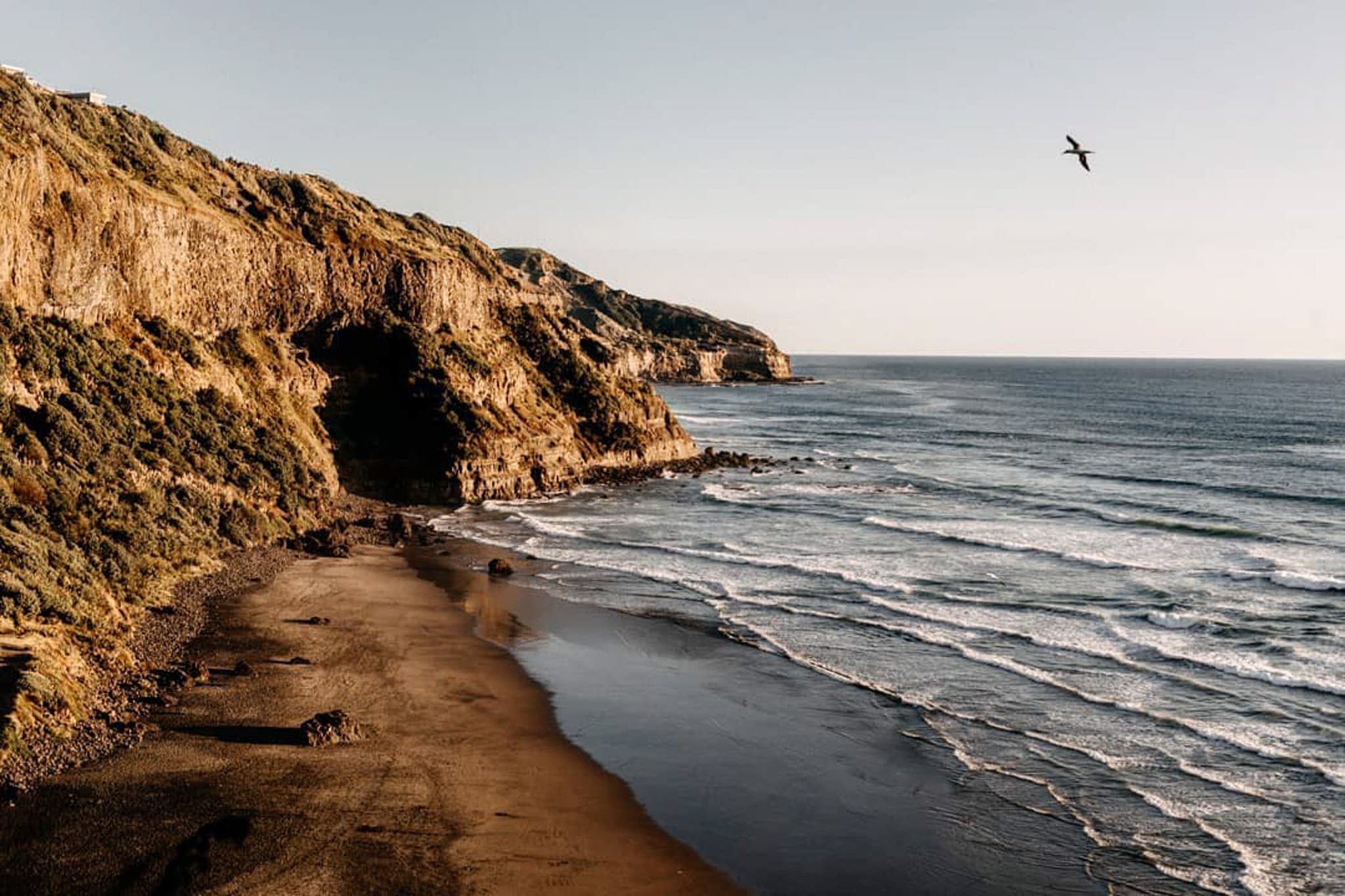 Sunset Engagement Session in Muriwai, New Zealand