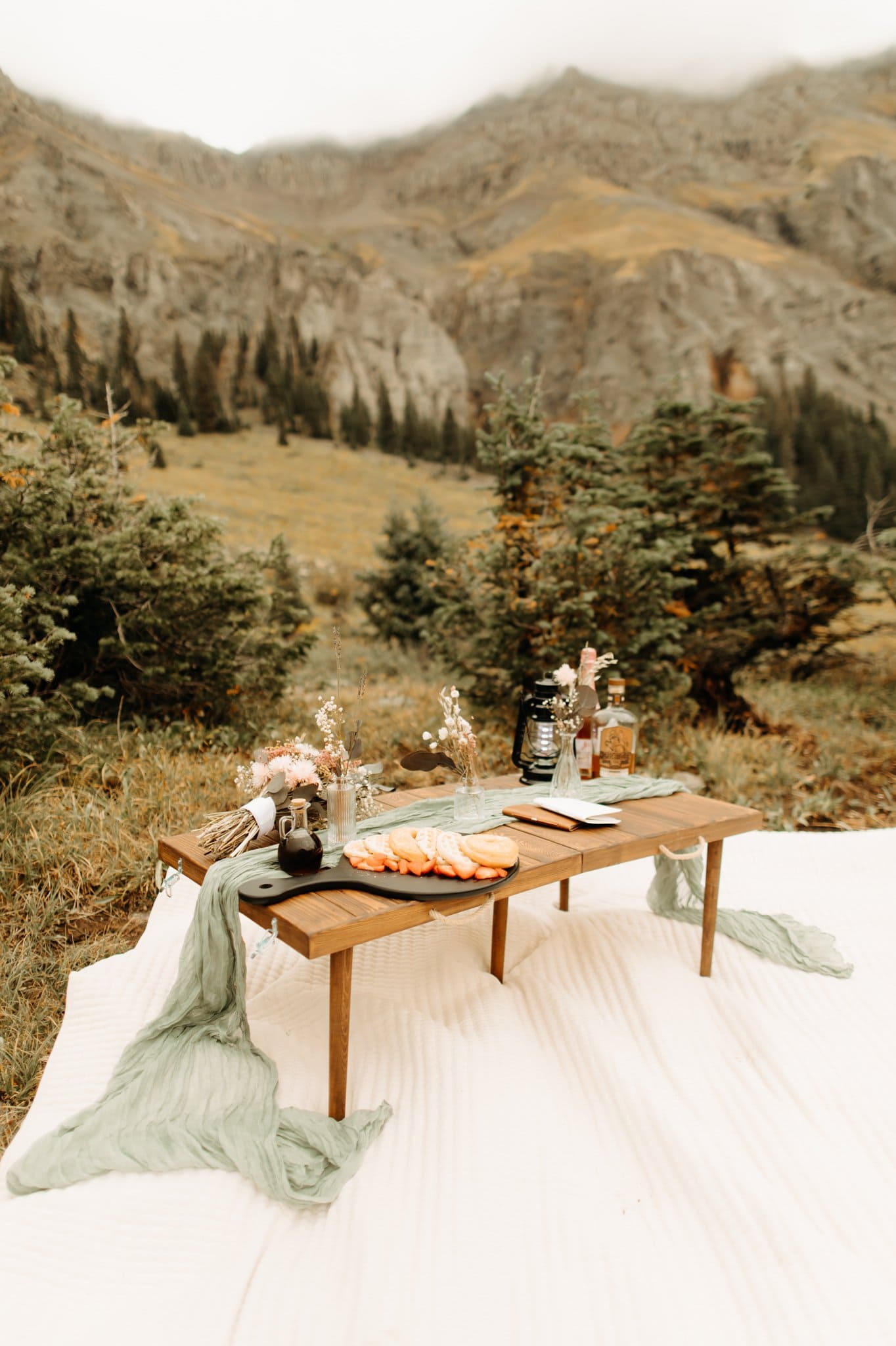 elopement picnic in ouray colorado
