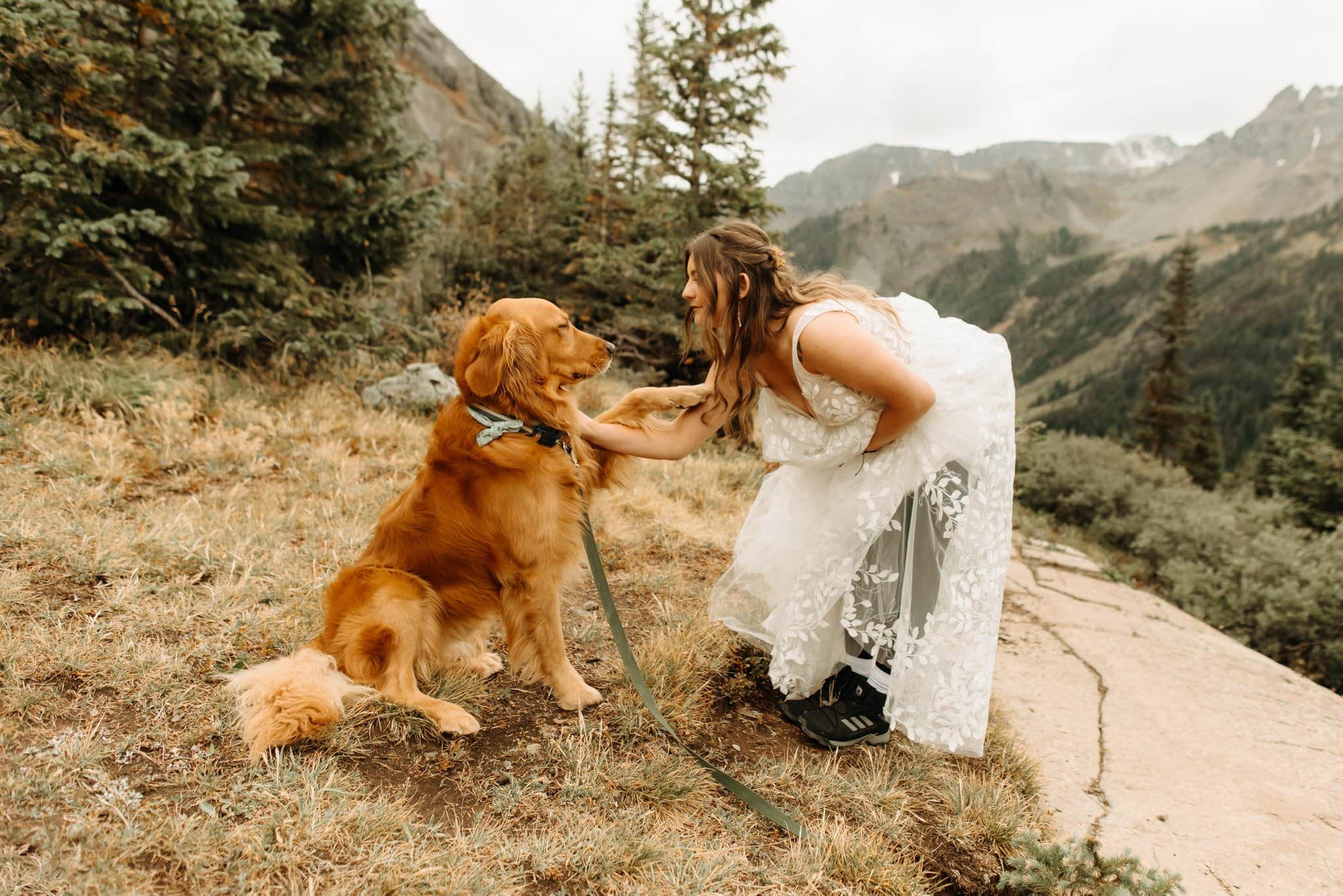 elopement picnic with dogs in ouray colorado
