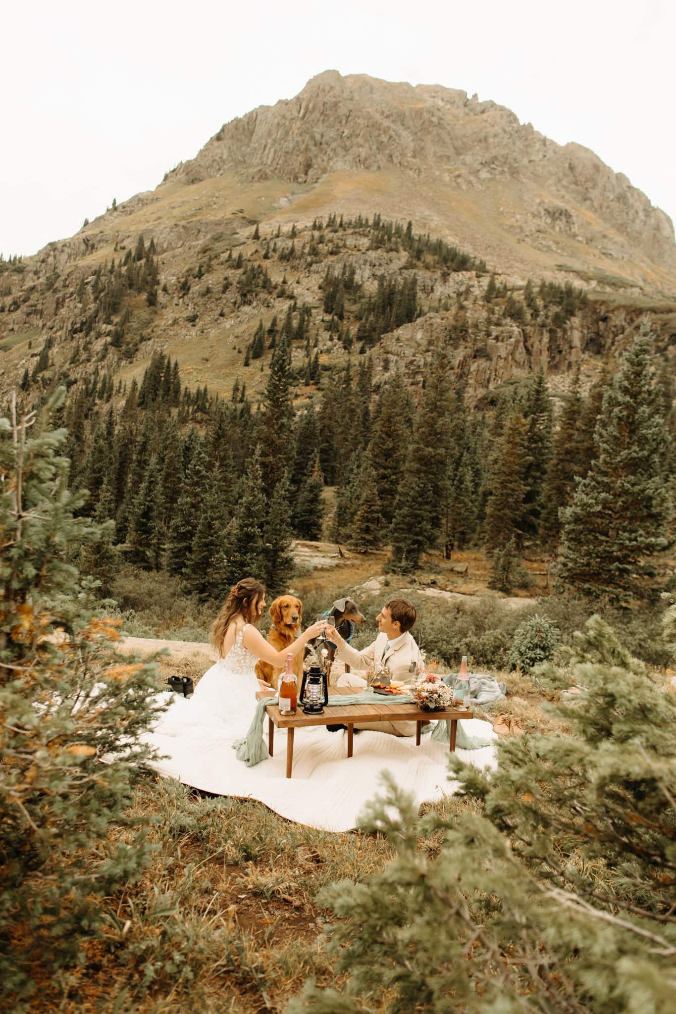 elopement picnic with dogs in ouray colorado