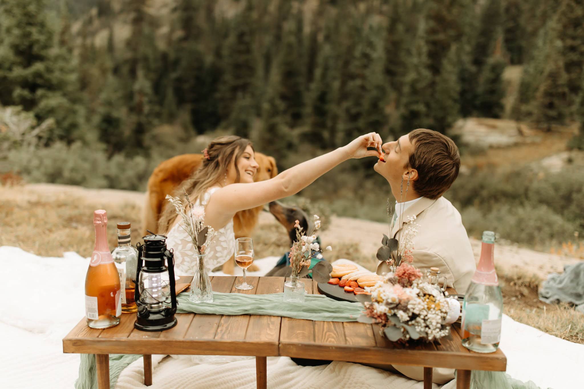 Mountaintop Elopement in Ouray