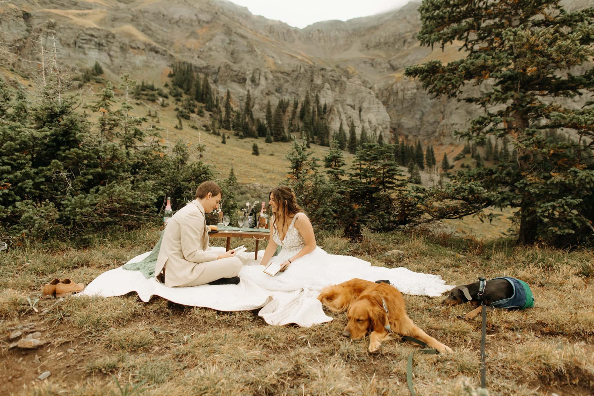 elopement picnic with dogs in ouray colorado