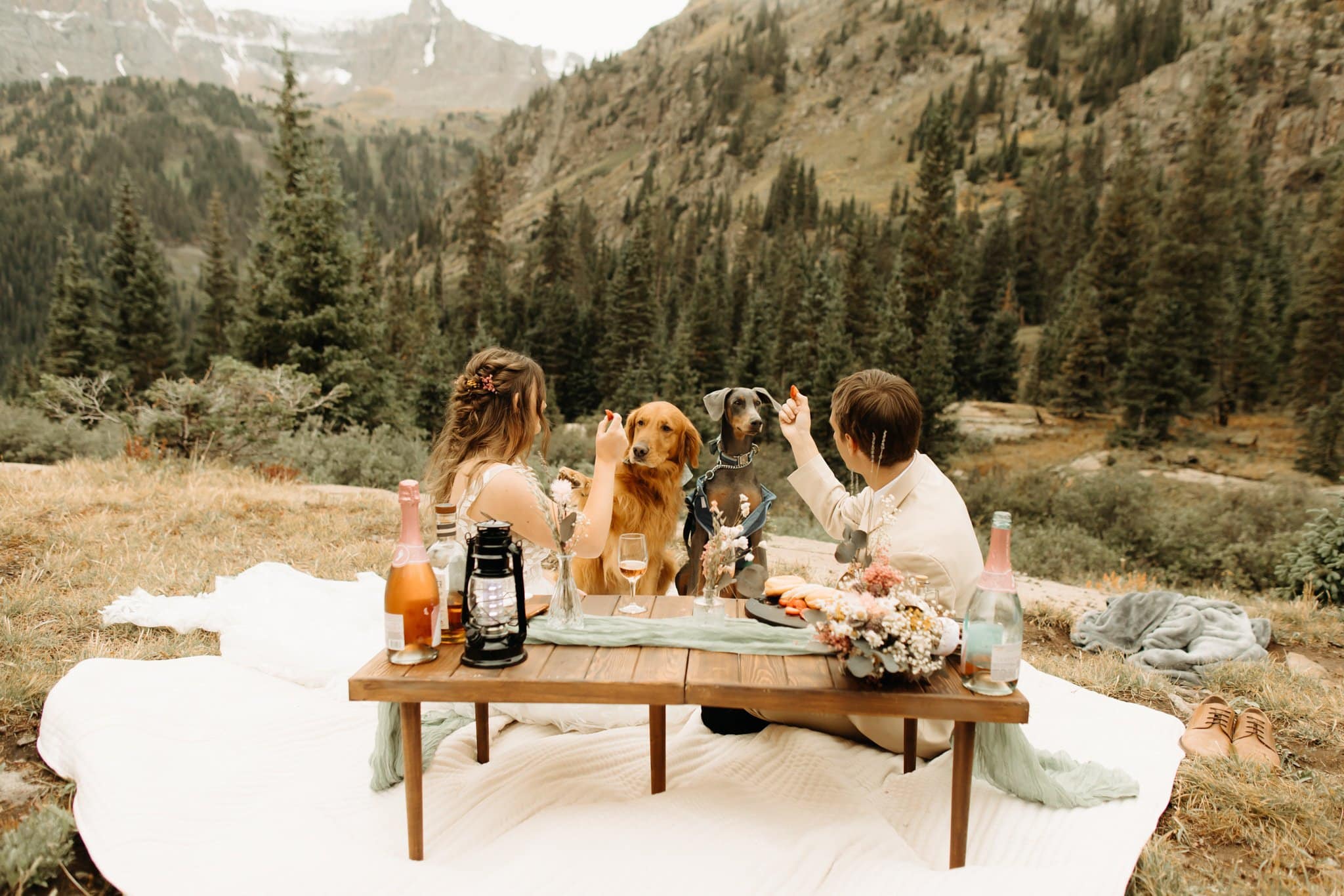 elopement picnic with dogs in ouray colorado