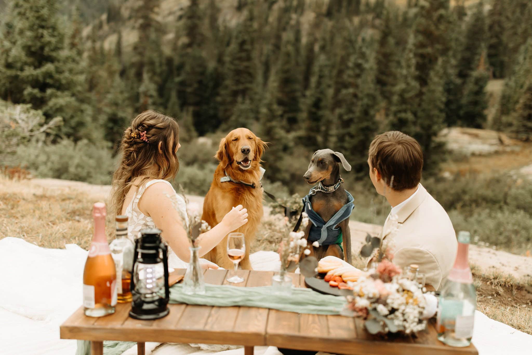 elopement picnic with dogs in ouray colorado