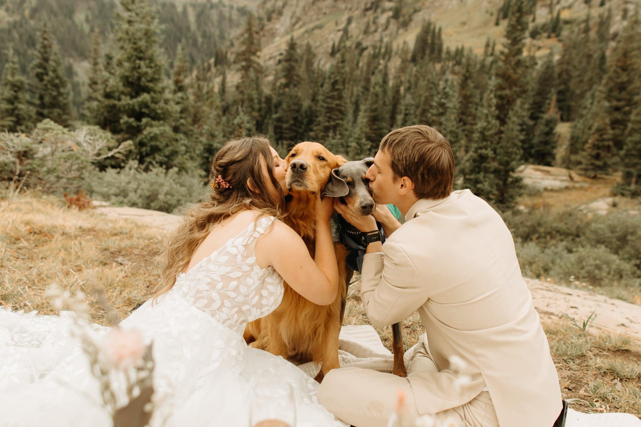 elopement picnic with dogs in ouray colorado