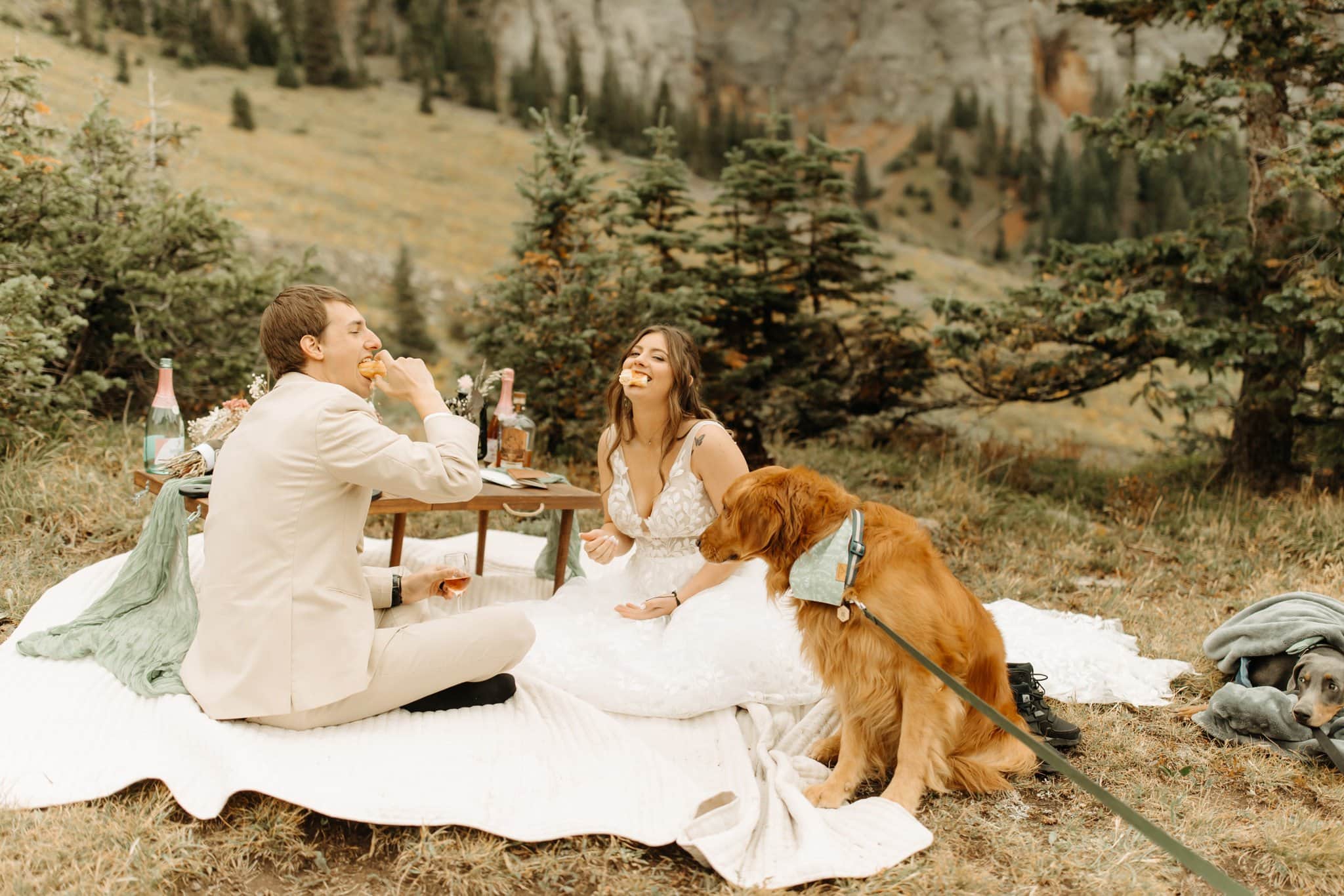 elopement picnic with dogs in ouray colorado