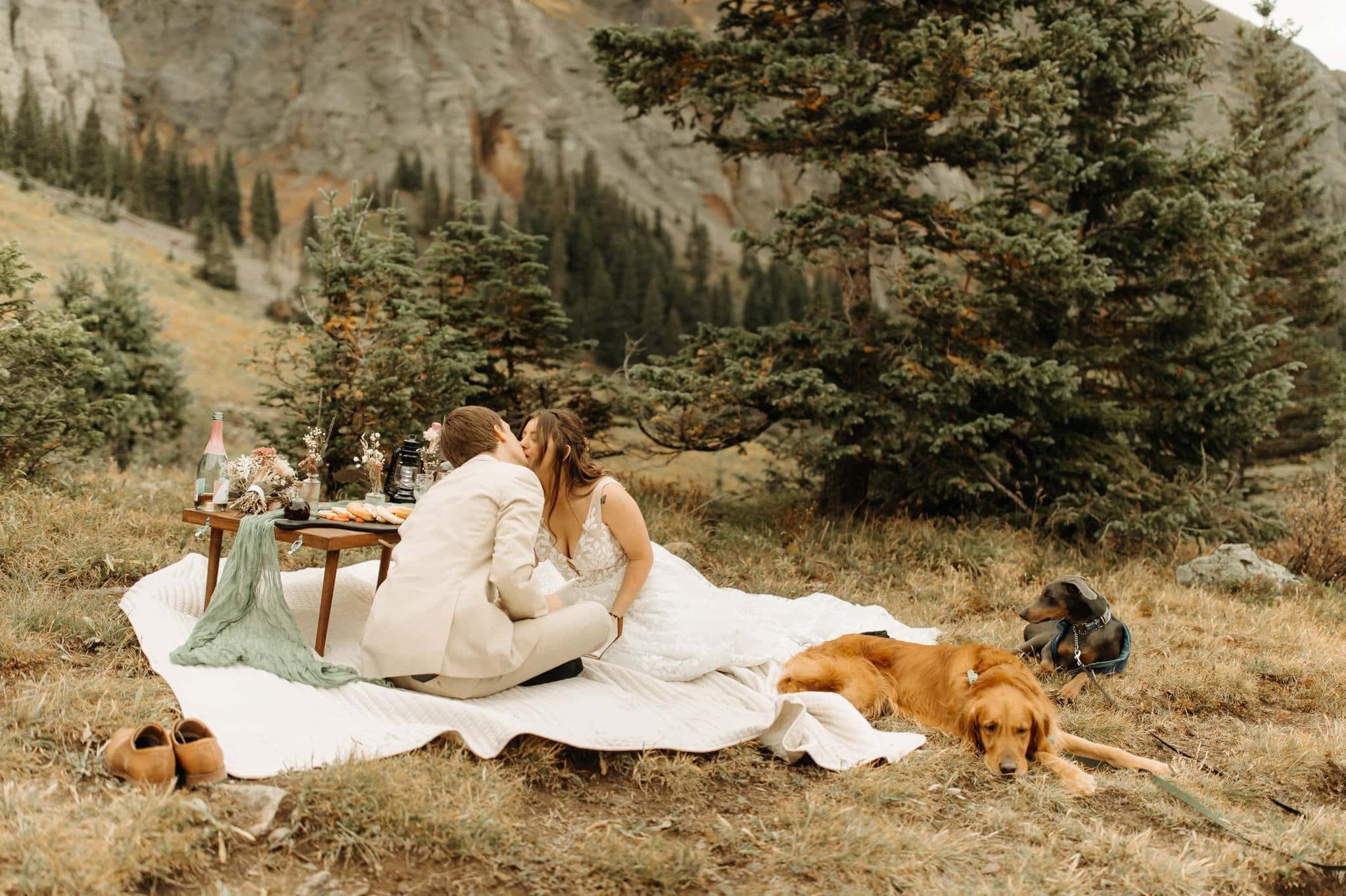 elopement picnic with dogs in ouray colorado