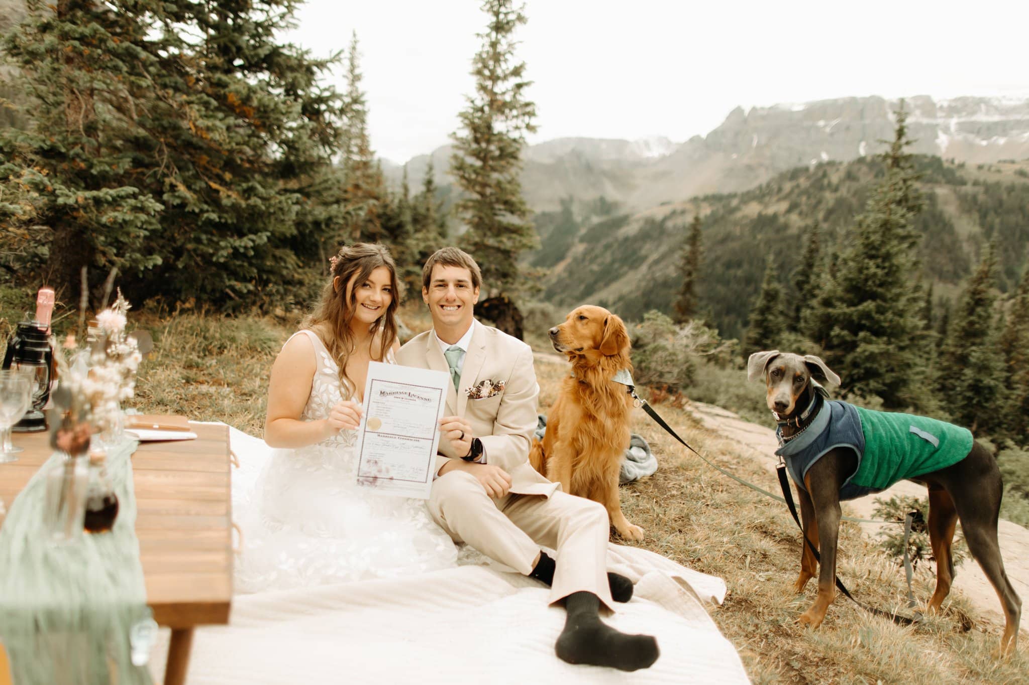 dog signing marriage license in colorado