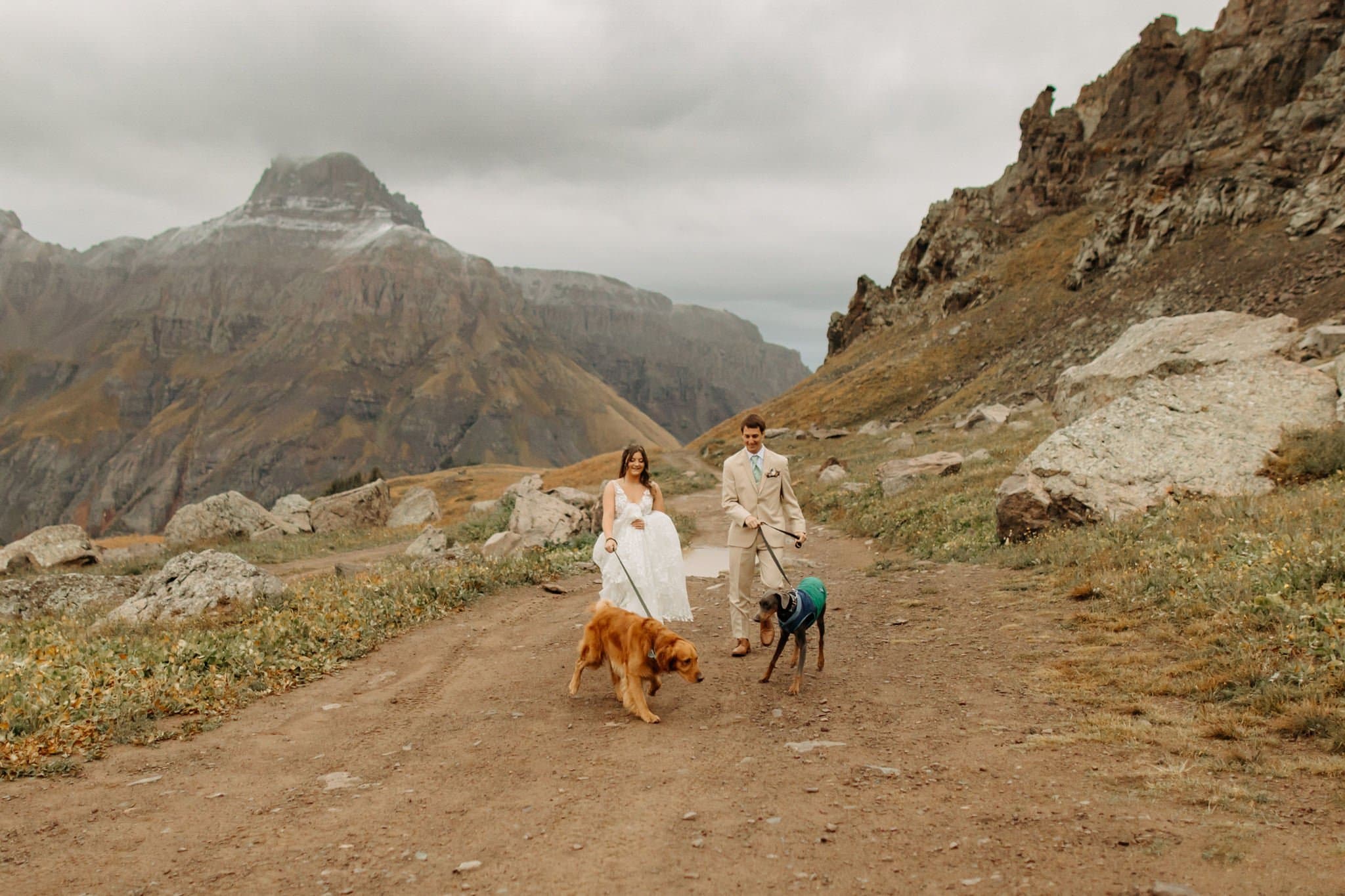Mountaintop Elopement with dogs in Ouray