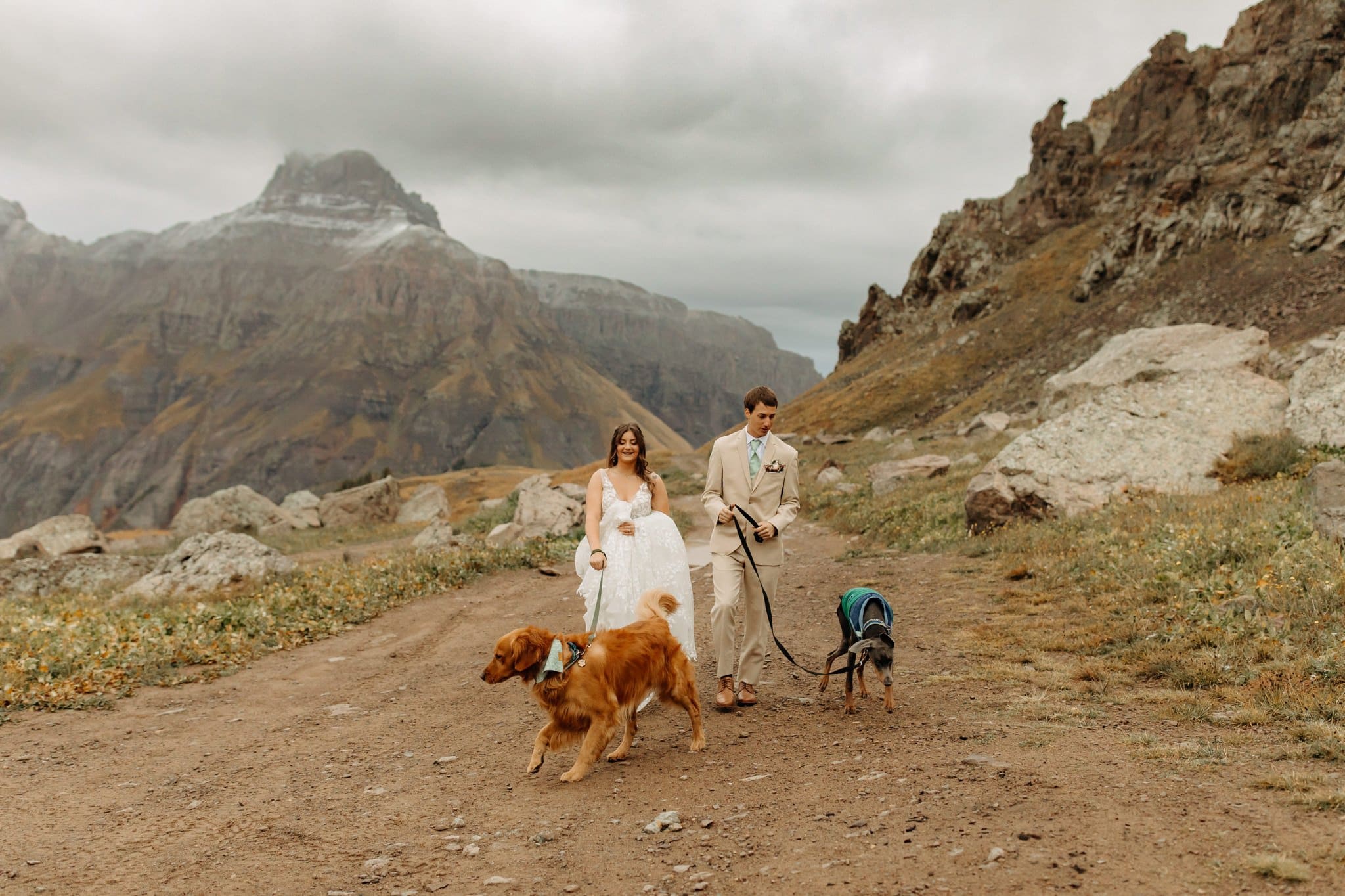 Mountaintop Elopement with dogs in Ouray