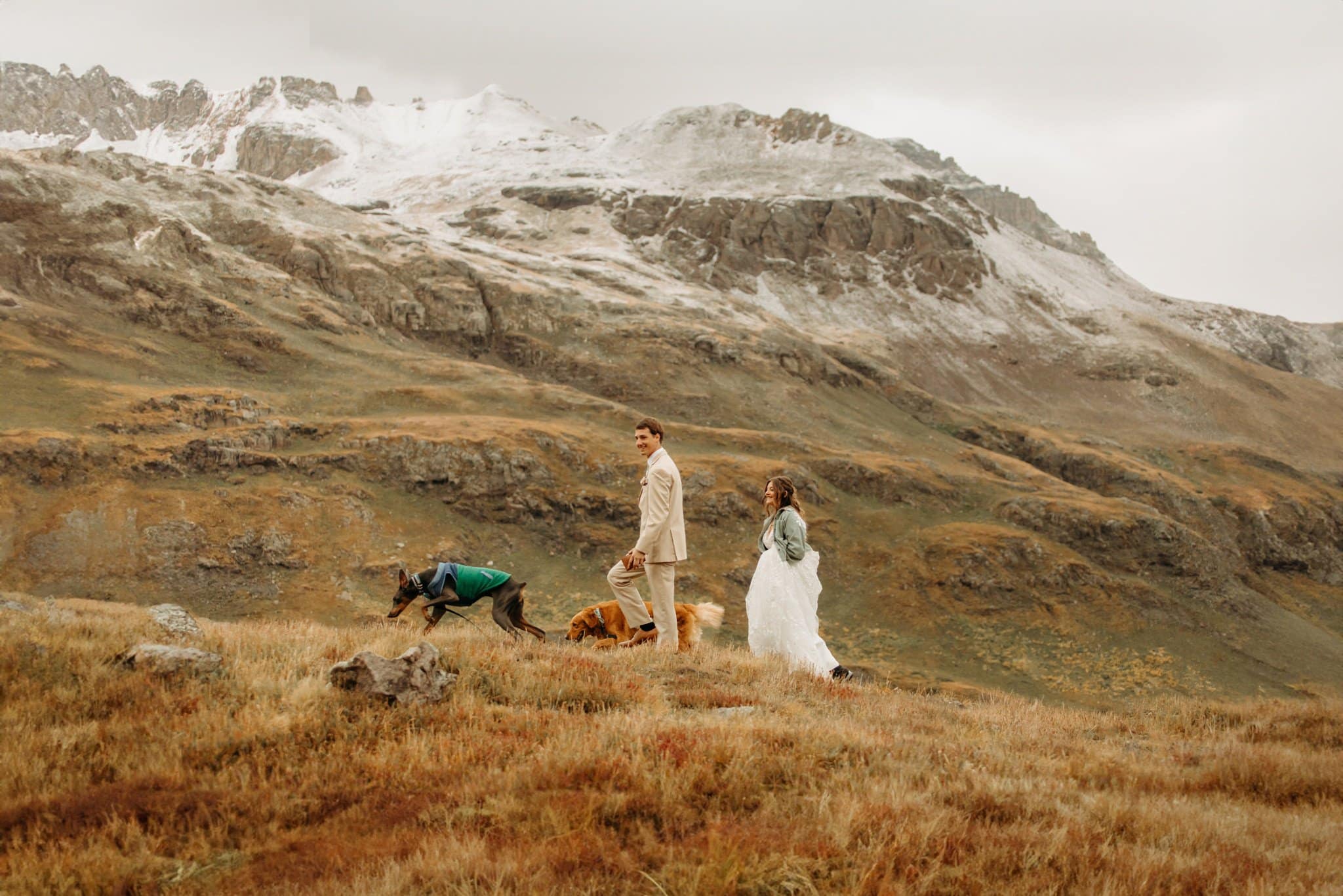 Mountaintop Elopement with dogs in Ouray