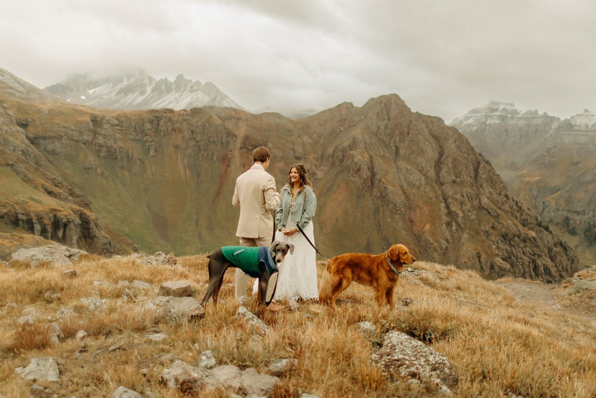 Mountaintop Elopement with dogs in Ouray