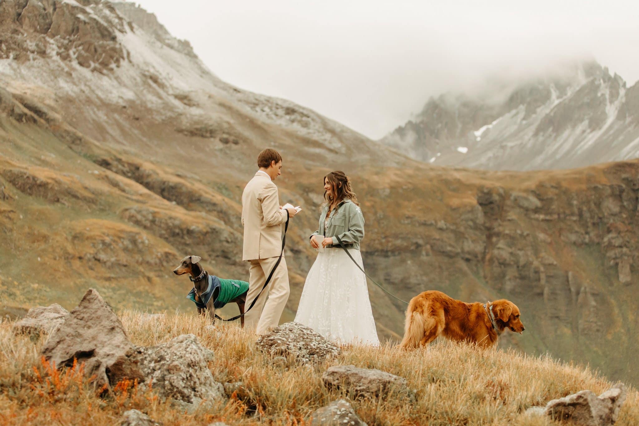 Mountaintop Elopement with dogs in Ouray
