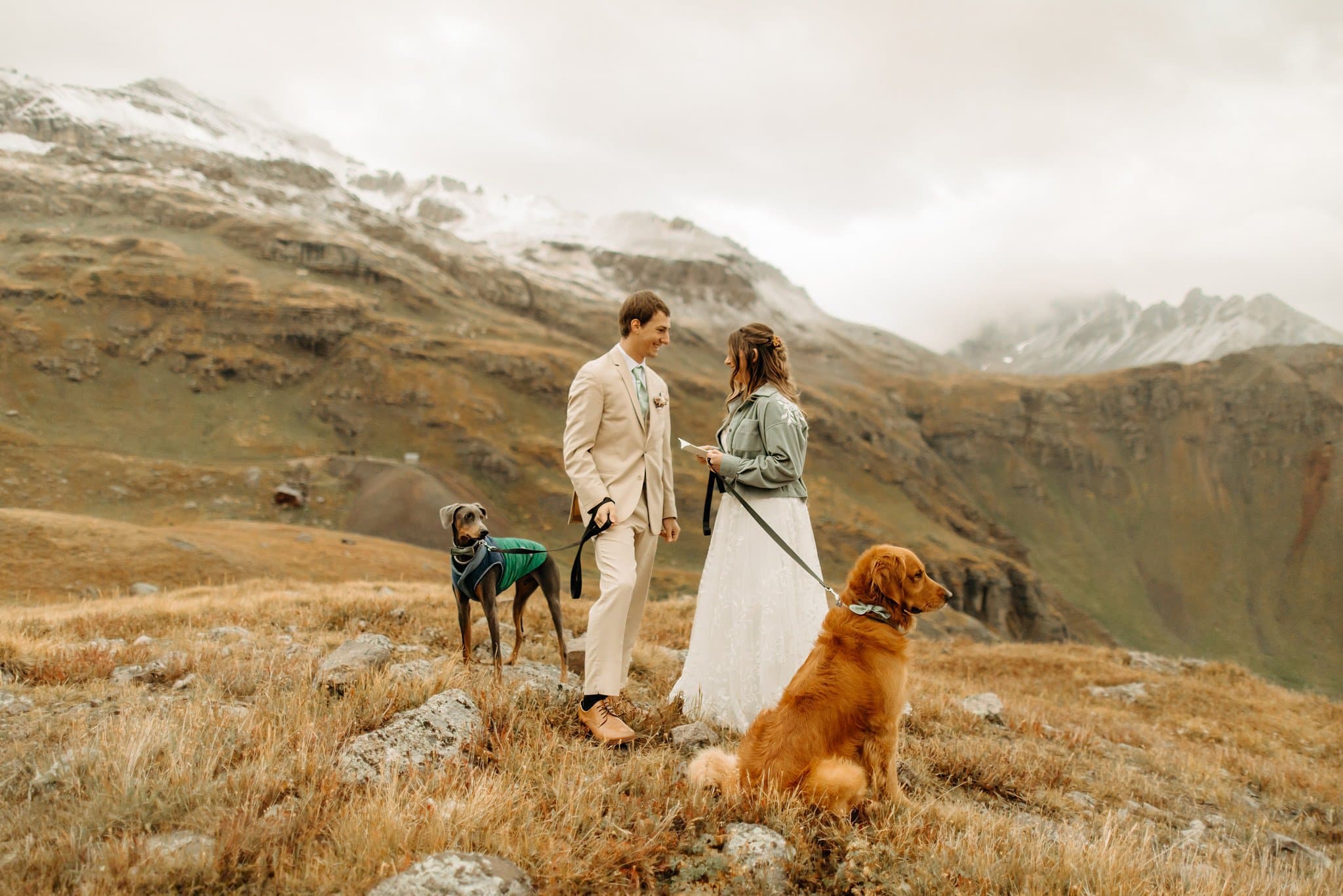Mountaintop Elopement with dogs in Ouray