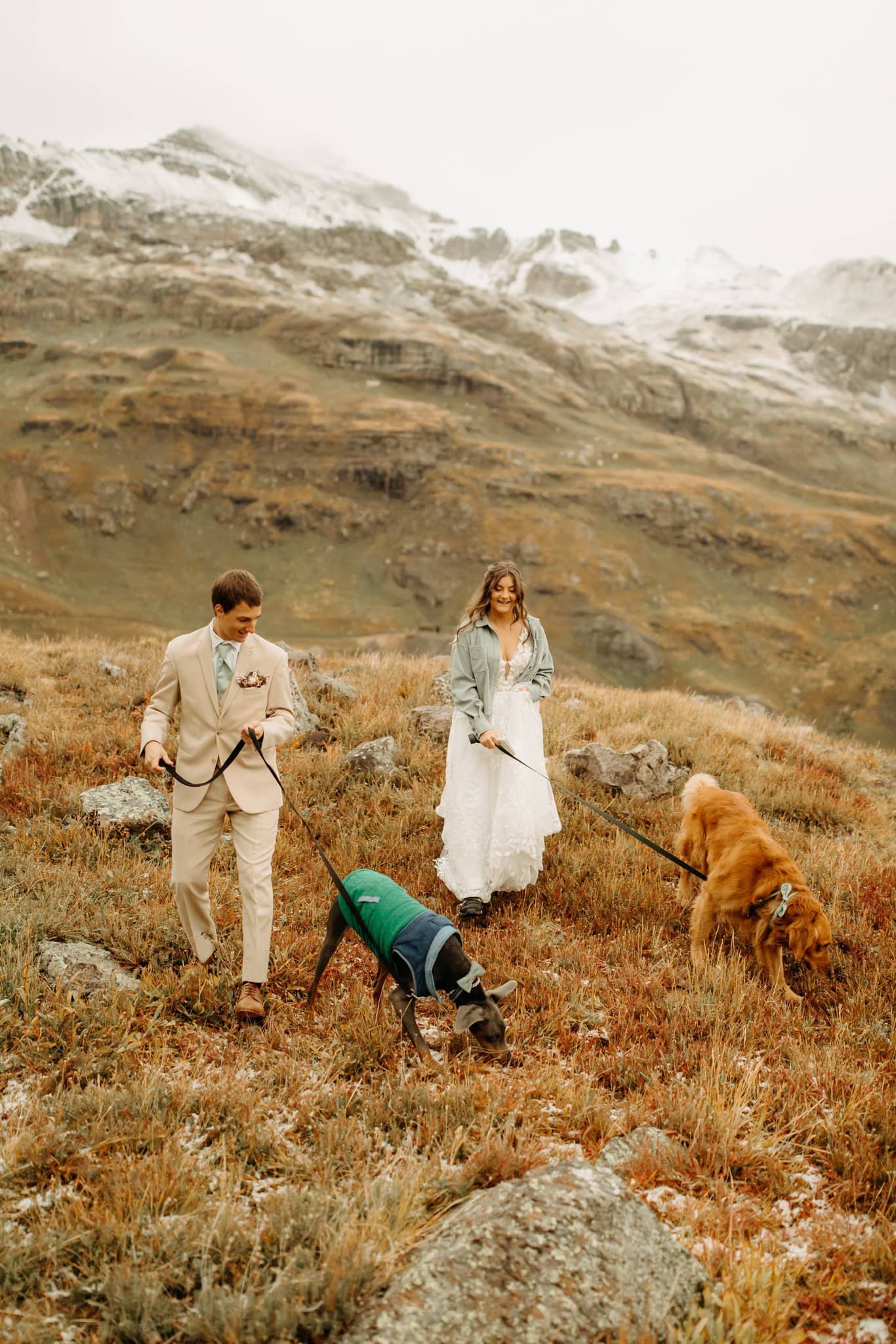 Mountaintop Elopement with dogs in Ouray