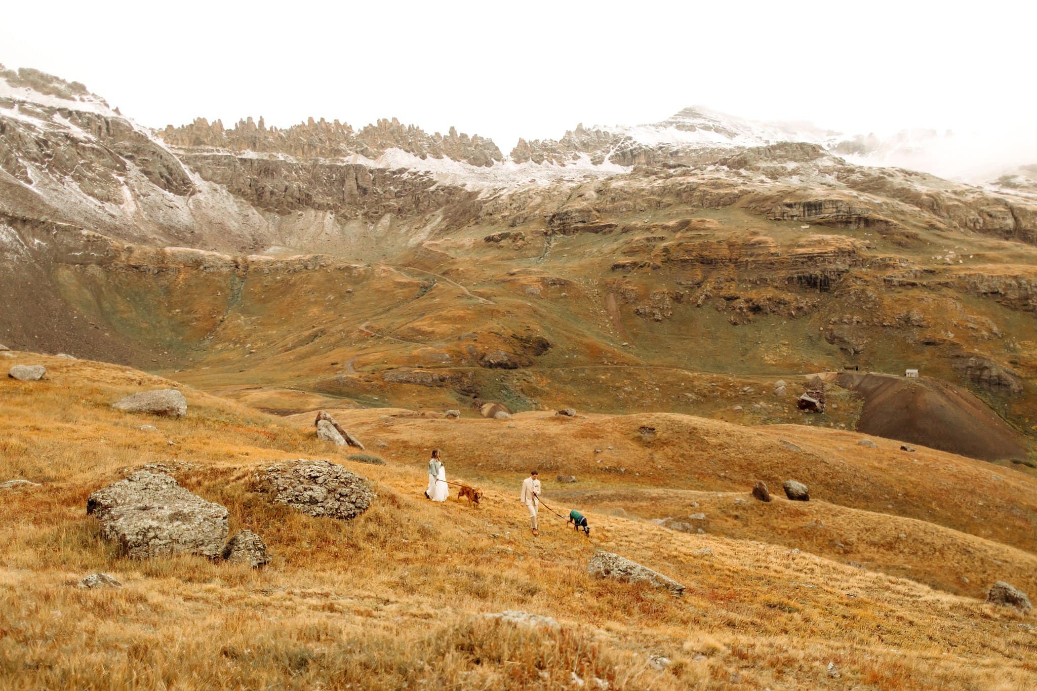 Mountaintop Elopement with dogs in Ouray