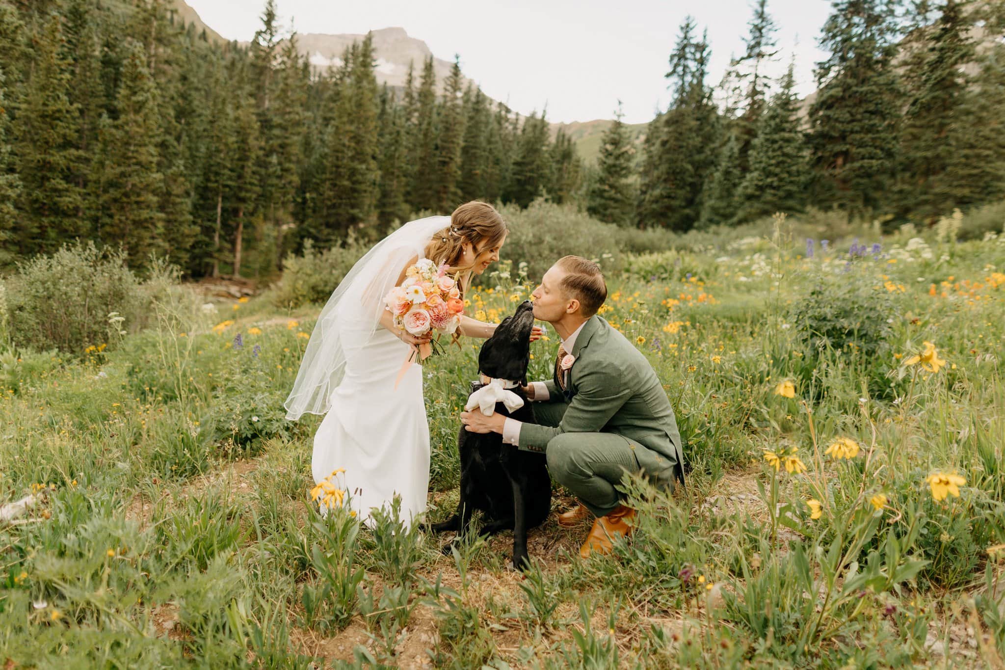 How (and Why) to Include Your Dog in Your Elopement