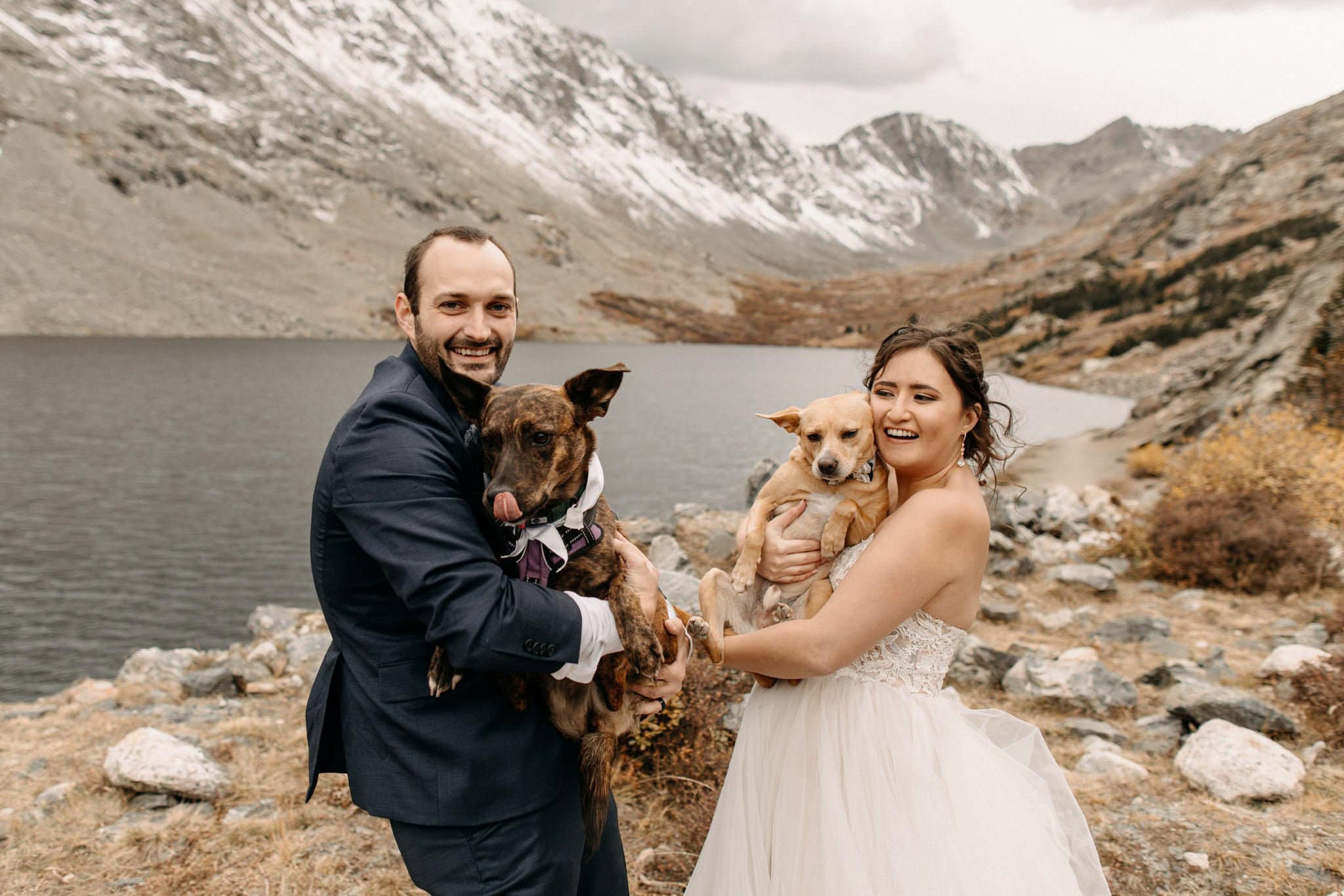 How (and Why) to Include Your Dog in Your Elopement