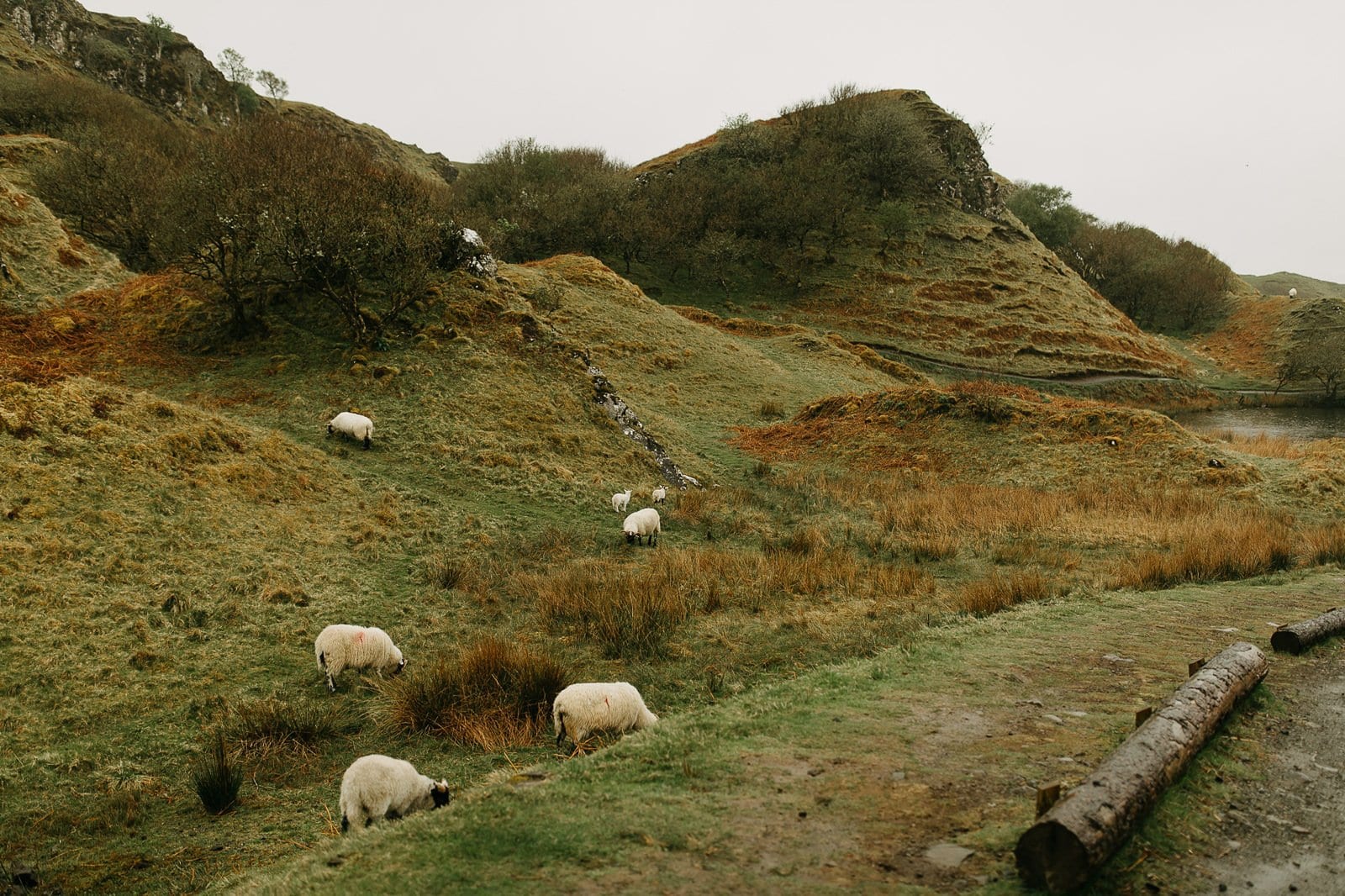 elopement on the Isle of Skye in Scotland