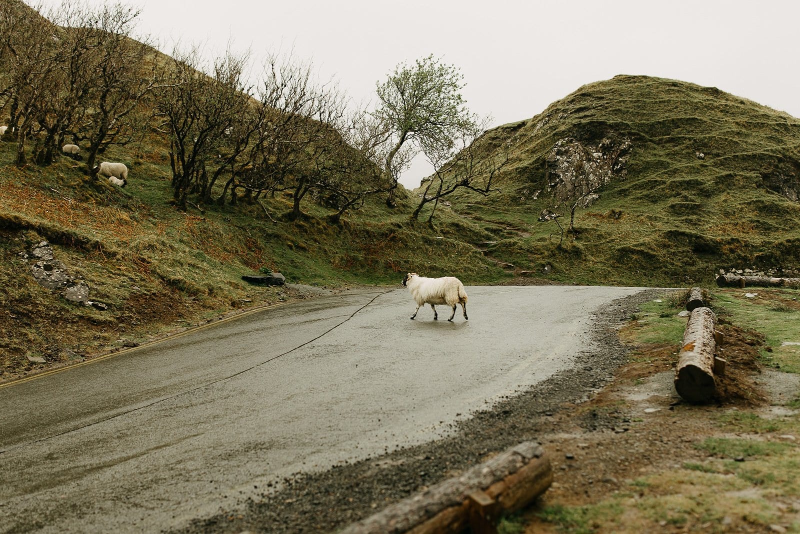 elopement on the Isle of Skye in Scotland