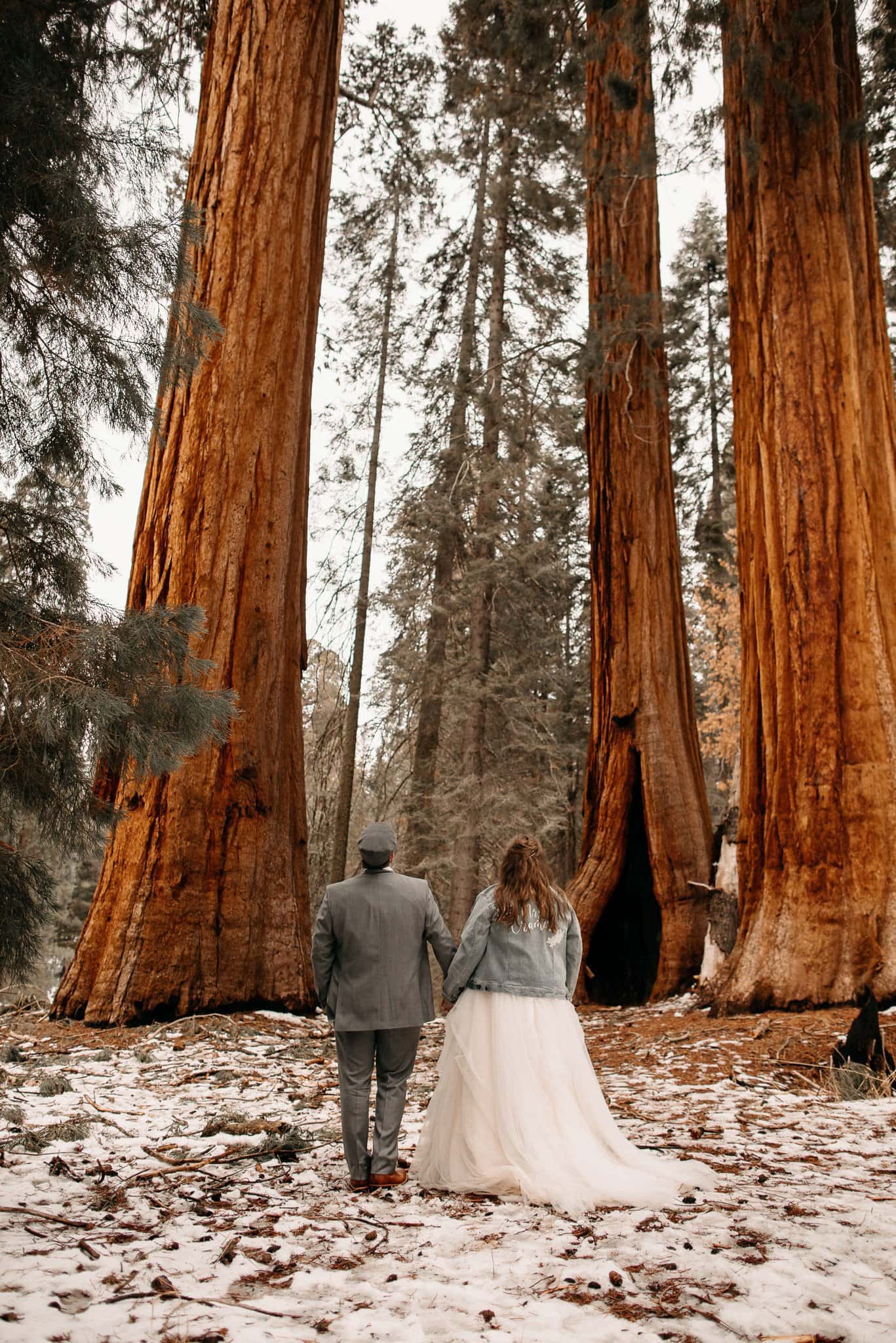 Adventurous Winter Elopement in Sequoia National Park