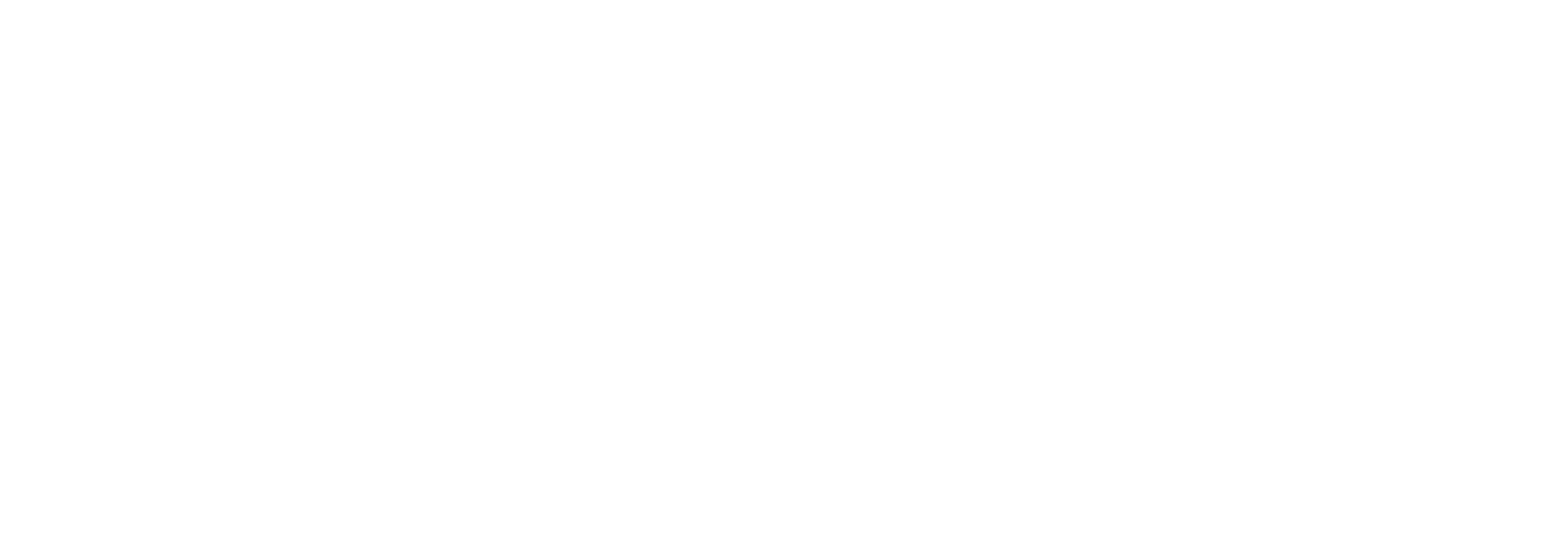 Amy Bluestar Photography