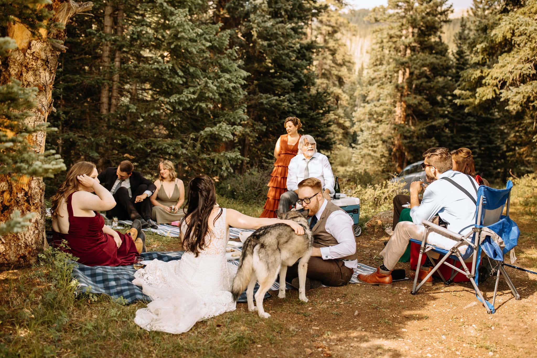 Wedding picnic with family in Telluride
